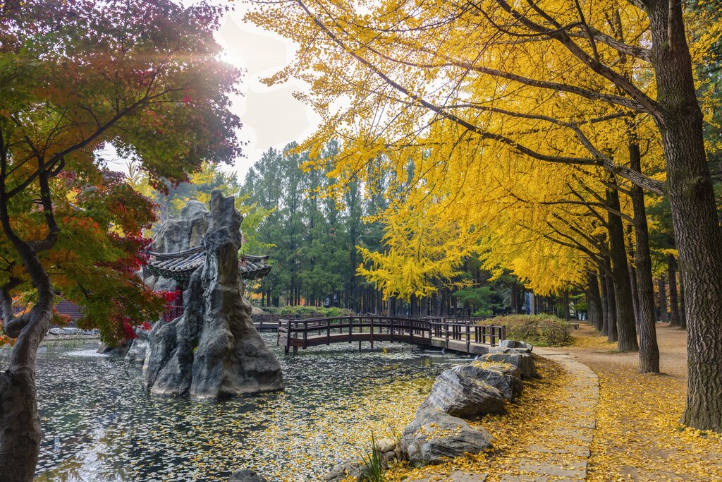 autumnal colors of nami island