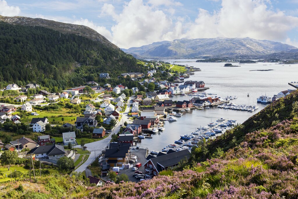 Kalvåg
