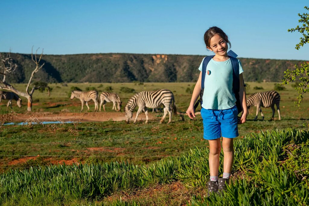 Experience a family-focused safari adventure in the malaria-free Eastern Cape (photo courtesy of Shamwari Game Reserve)