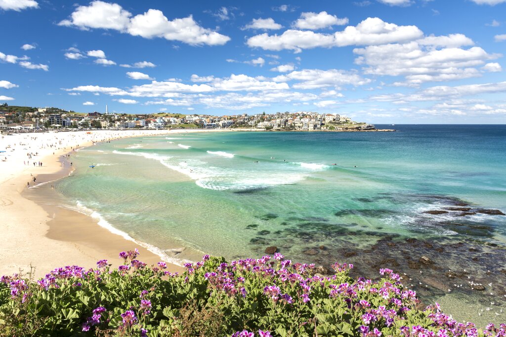 Consider spending a few hours at world-famous Bondi Beach