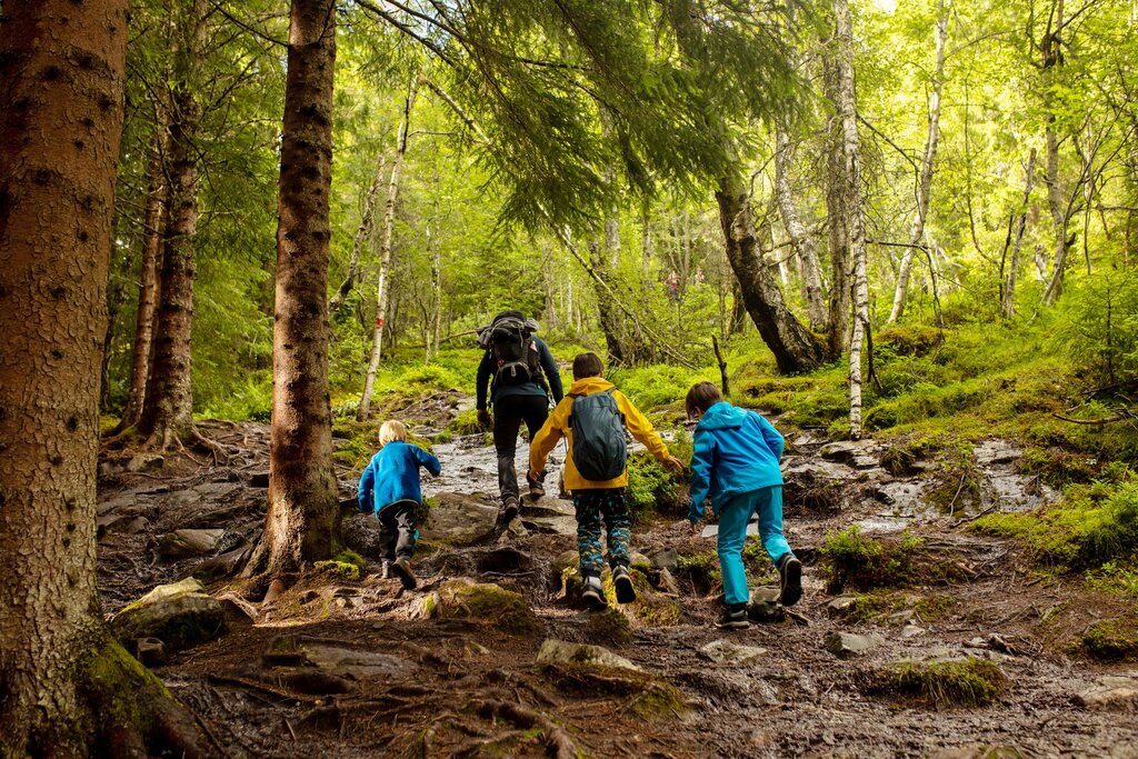 Hiking near Loen