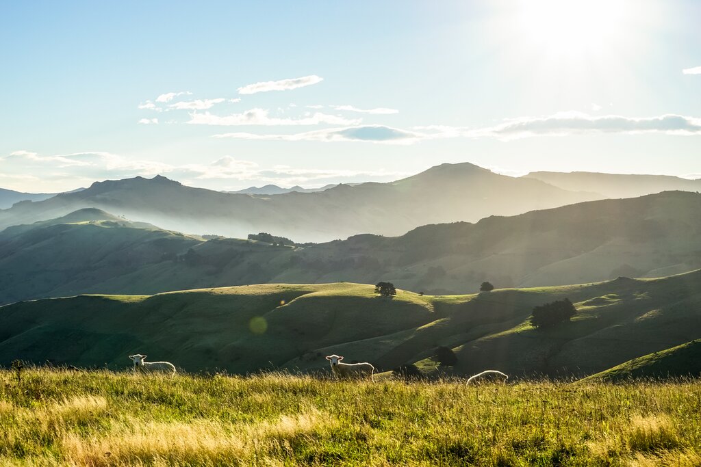 Ridge Top Farm