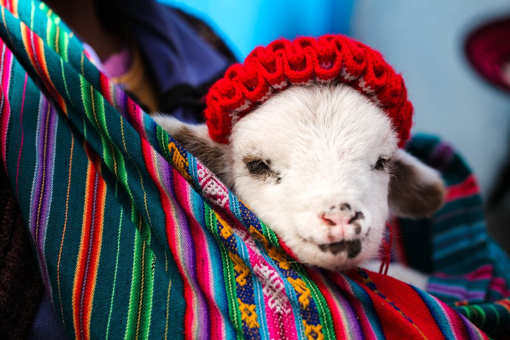 Arrival in Cusco & Sacred Valley Tour