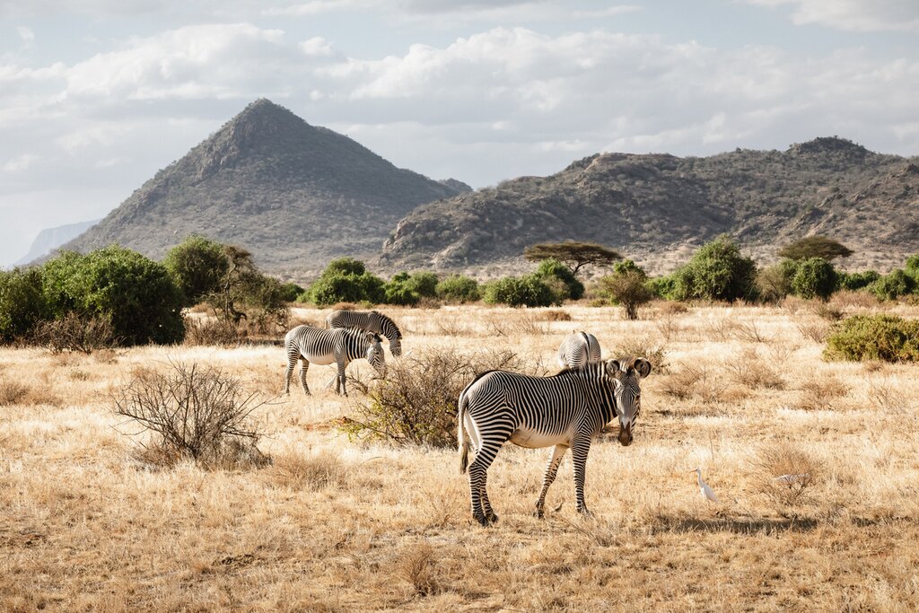 Samburu National Reserve