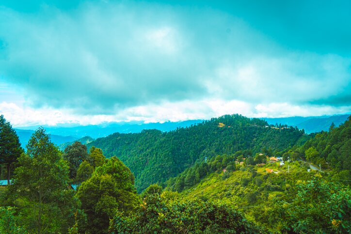 Hike in San Jose's Cloud Forest