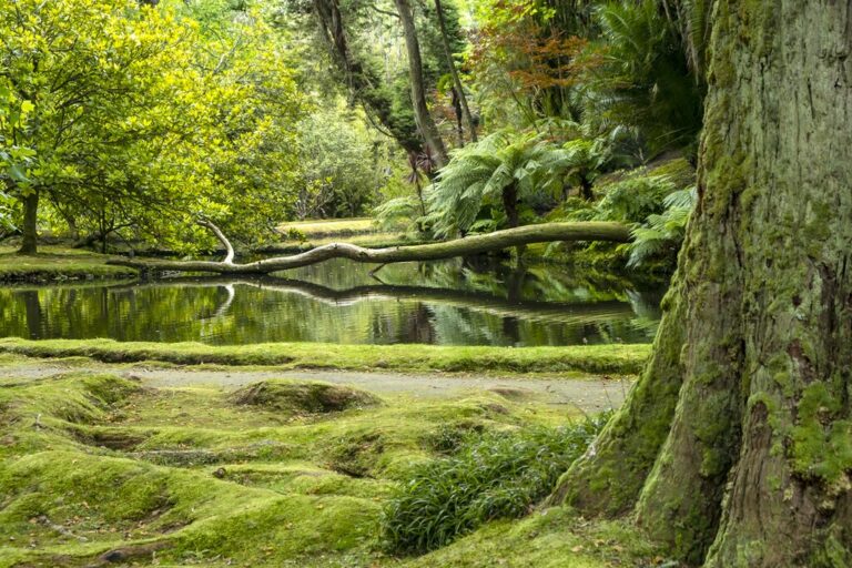 Azores In March Travel Tips Weather More