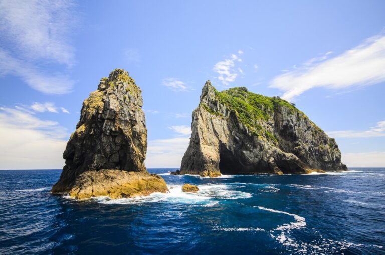 Northern New Zealand: Auckland, Bay of Islands & Matakana - 5 Days