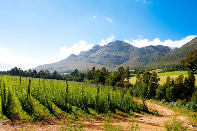 Best Time Of Year To Drive The Garden Route