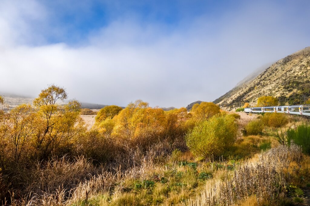The TranzAlpine Express Train travels throuigh the Southern Alps