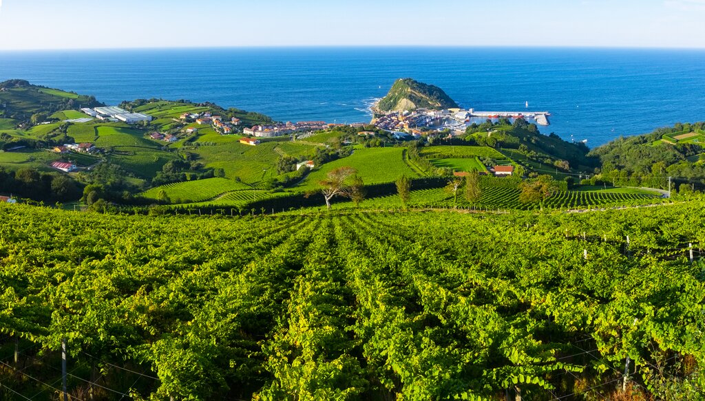 Cheese and Wine Tour