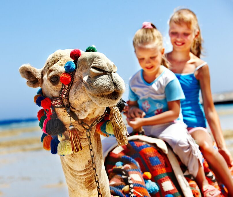 Take the kids on a camel ride on this memorable Moroccan adventure