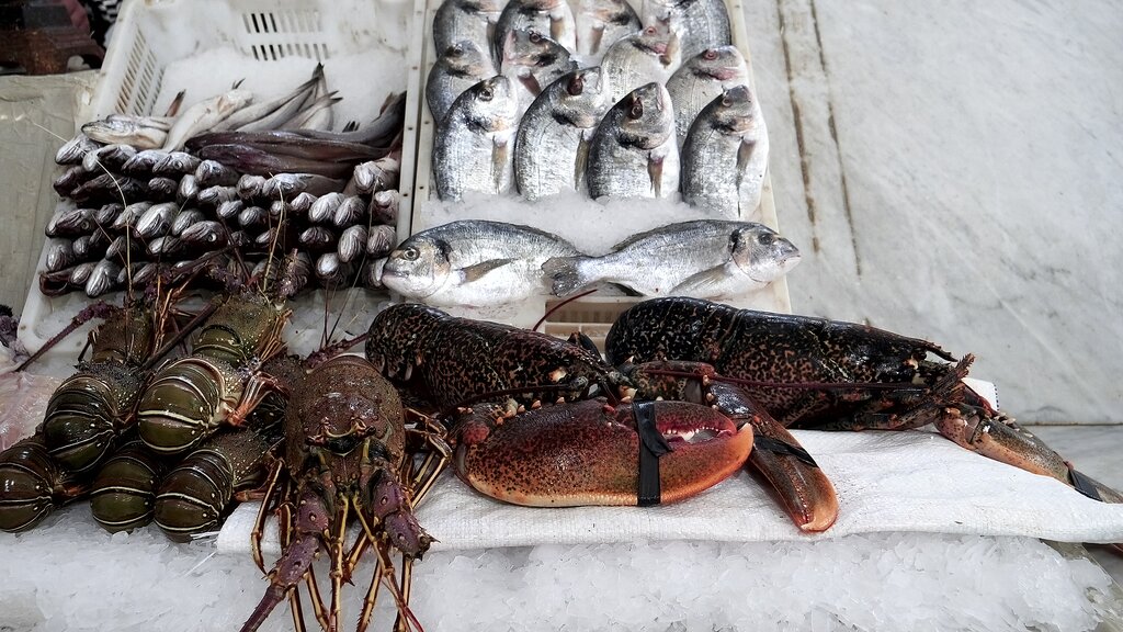Fresh seafood at a market in Casablanca