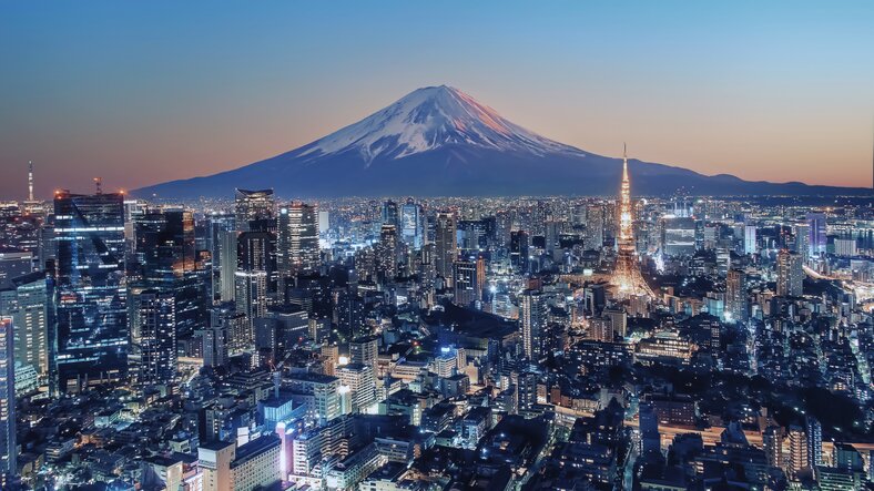Private Airport Transfer to Your Tokyo Hotel