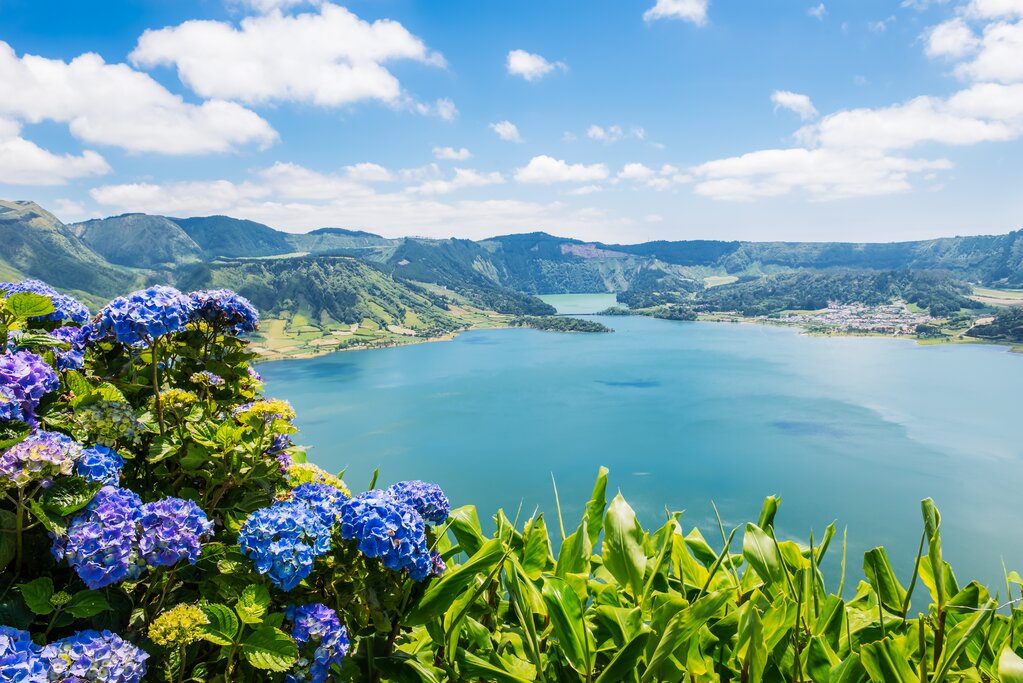 Flowers bloom over the Sede Cidades