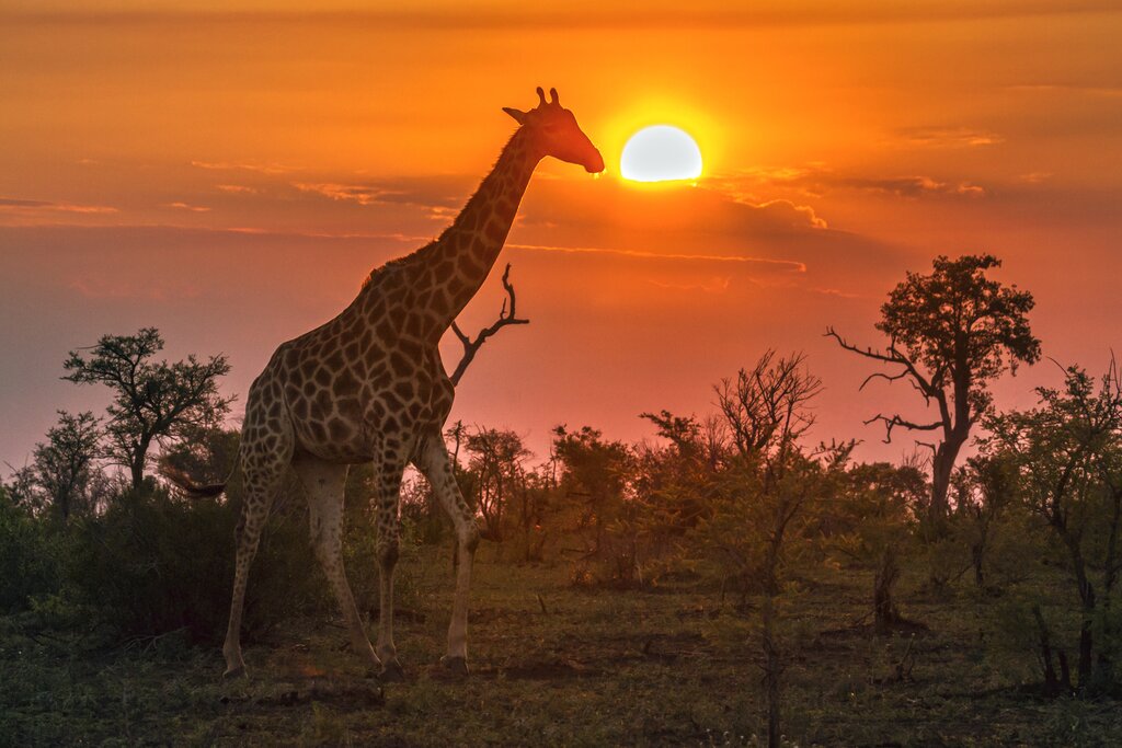 Until the next time South Africa!