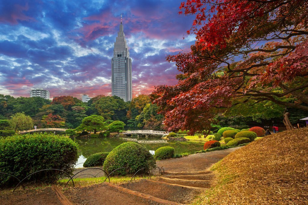 Tokyo's shinjuku park