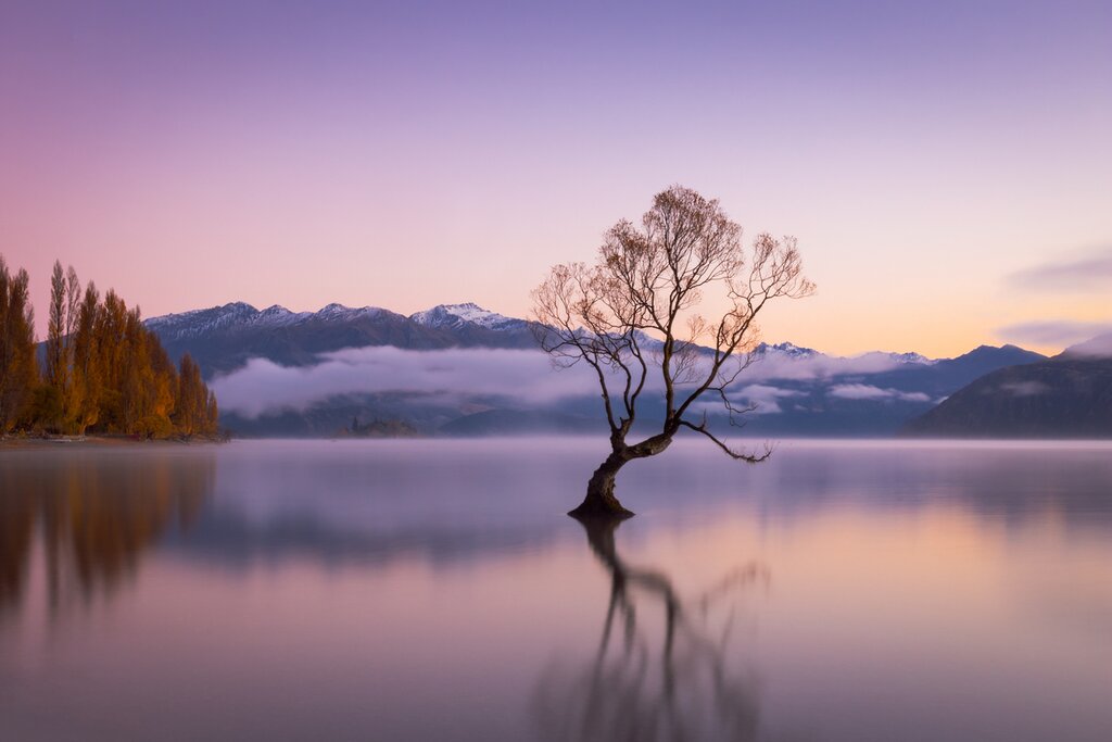 Moh Waho Island on Lake Wanaka
