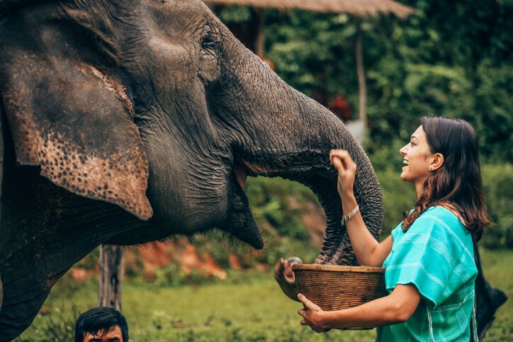 Elephant Sanctuary