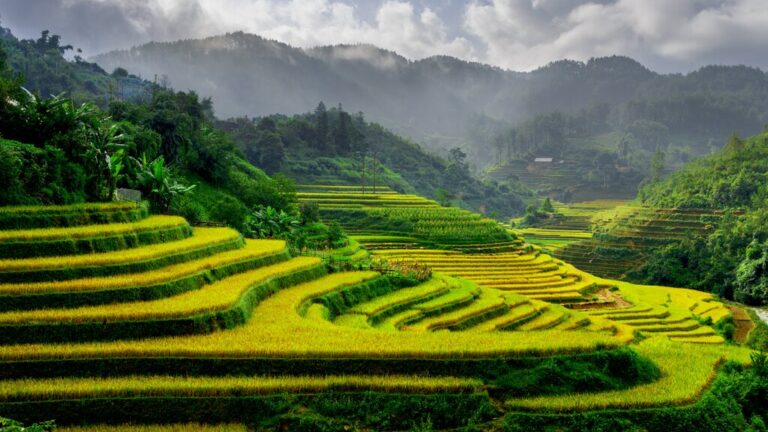 Ho Chi Minh City Hoi An Hanoi Ha Long Bay Sapa Best Itinerary Ideas