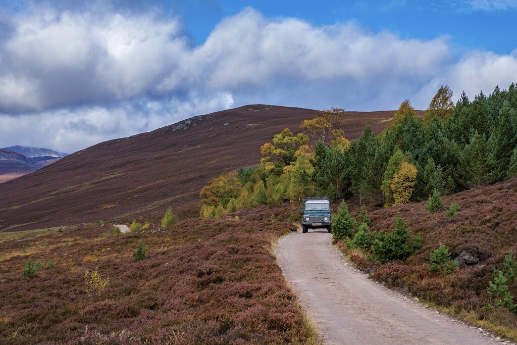 Cairngorms National Park Wildlife tour with a specialist