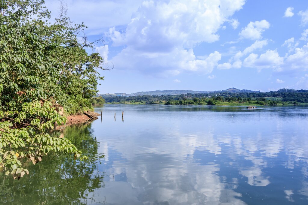 Seek out local wildlife as you cruise down the Nile River, near Lake Victoria