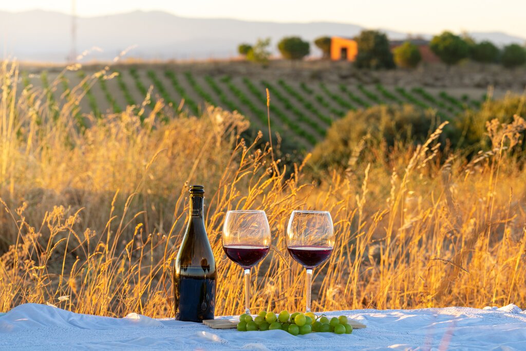 End your trip with a tour of Madrid's nearby vineyards