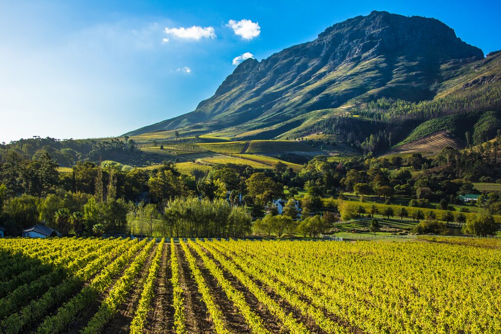 The stunning Cape Winelands region of South Africa