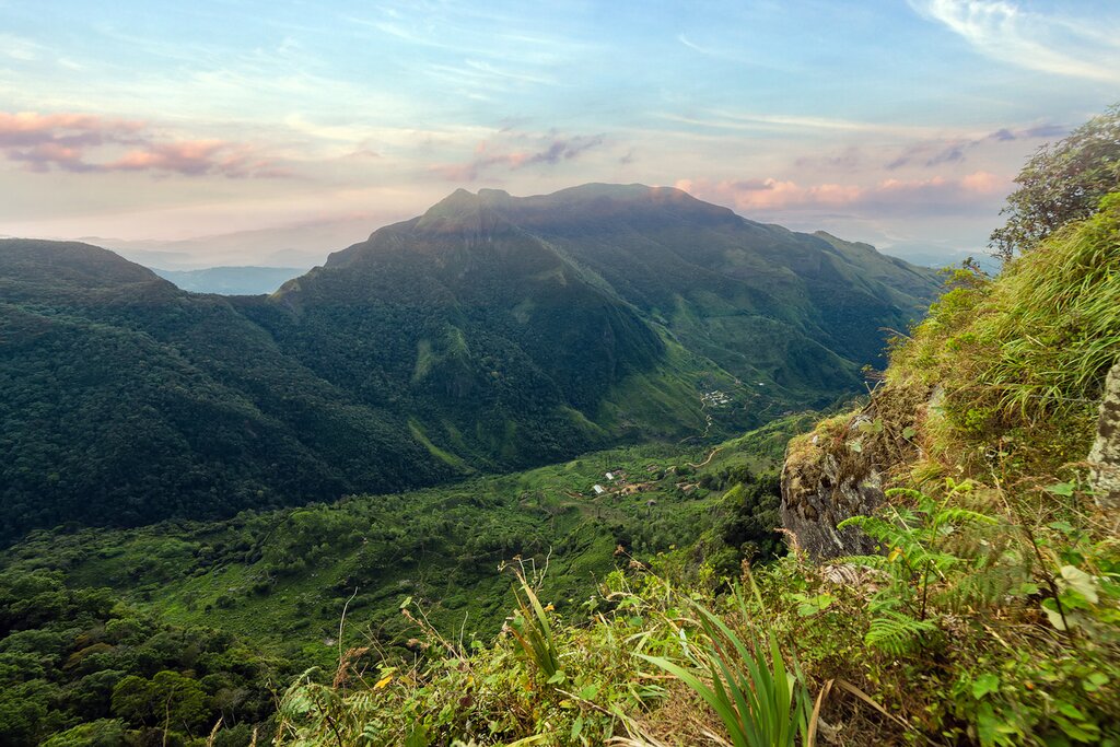 Visit to the Horton Plains National Park