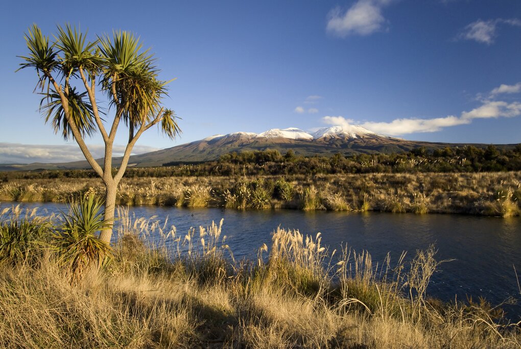 From Napier to Tongariro