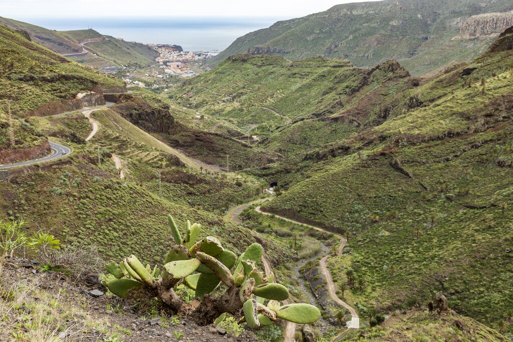 La Gomera's lush, mountainous coast.