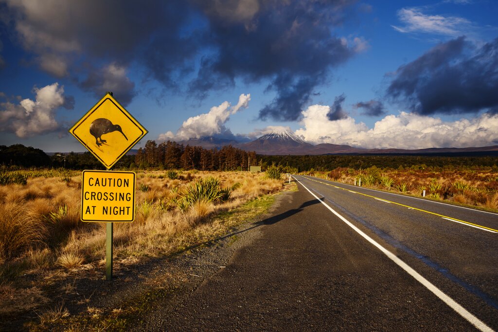 Tongariro National Park
