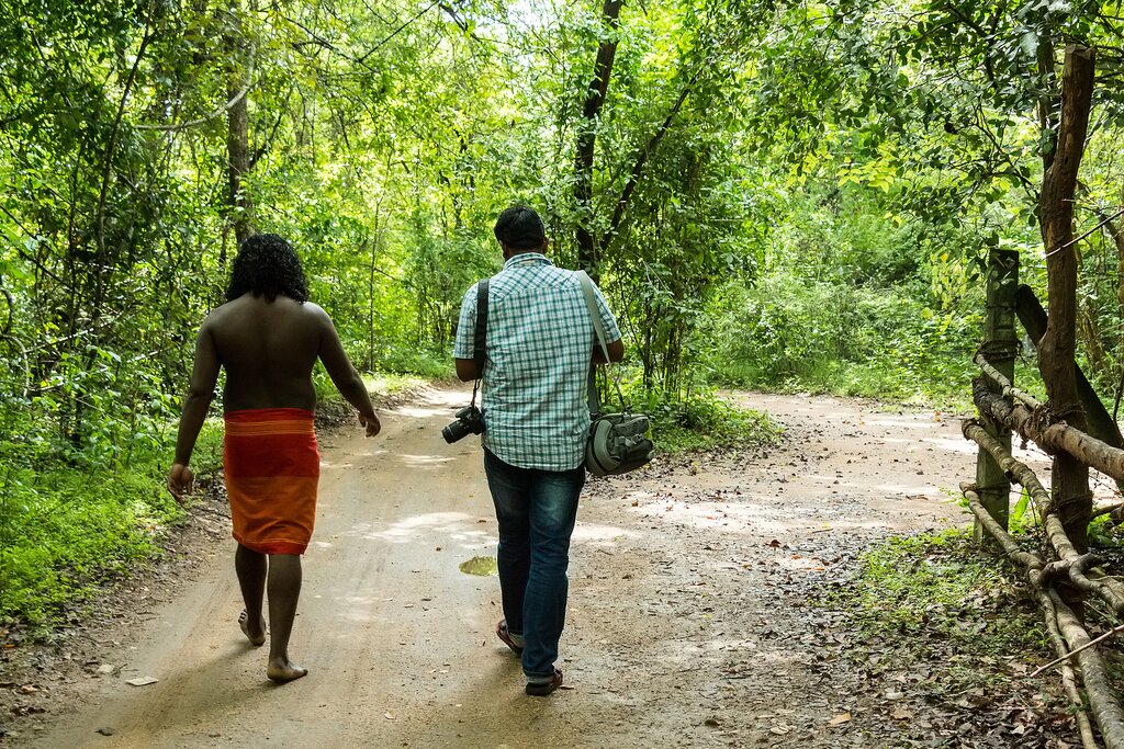 Join a Vedda chief for a guided walking tour