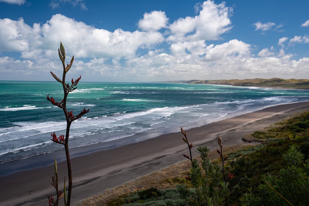 Raglan