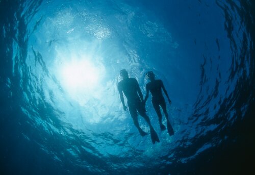 Snorkeling in Hikkaduwa
