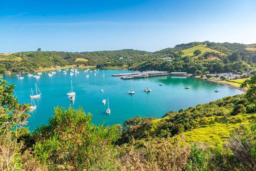 Hiking trails in Waiheke Island