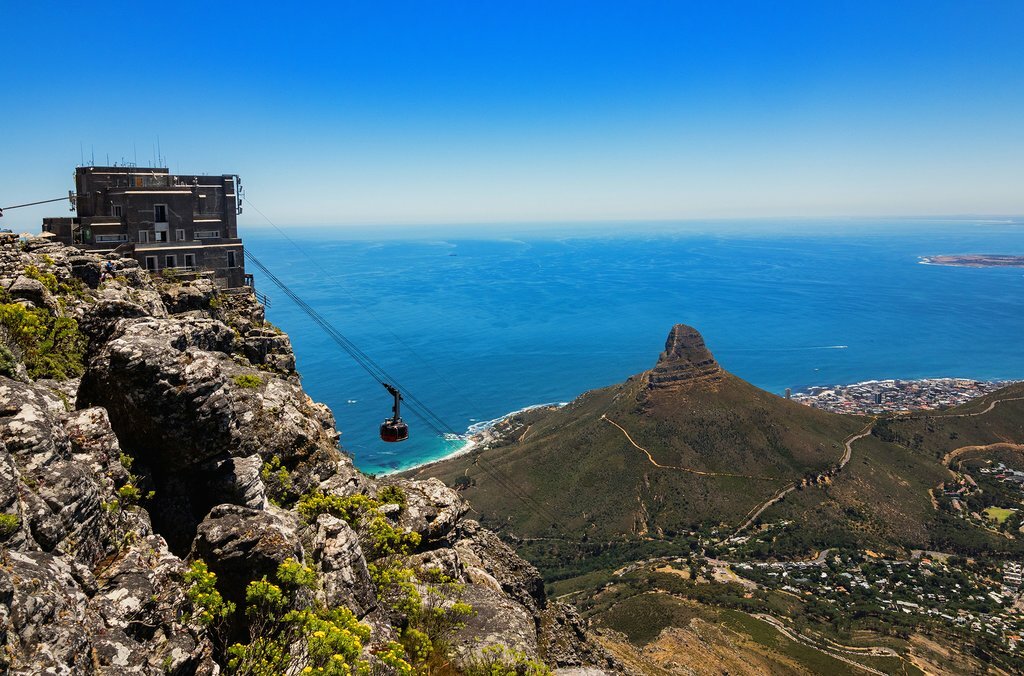 South Africa, Table Mountain - Atop Table Mountain