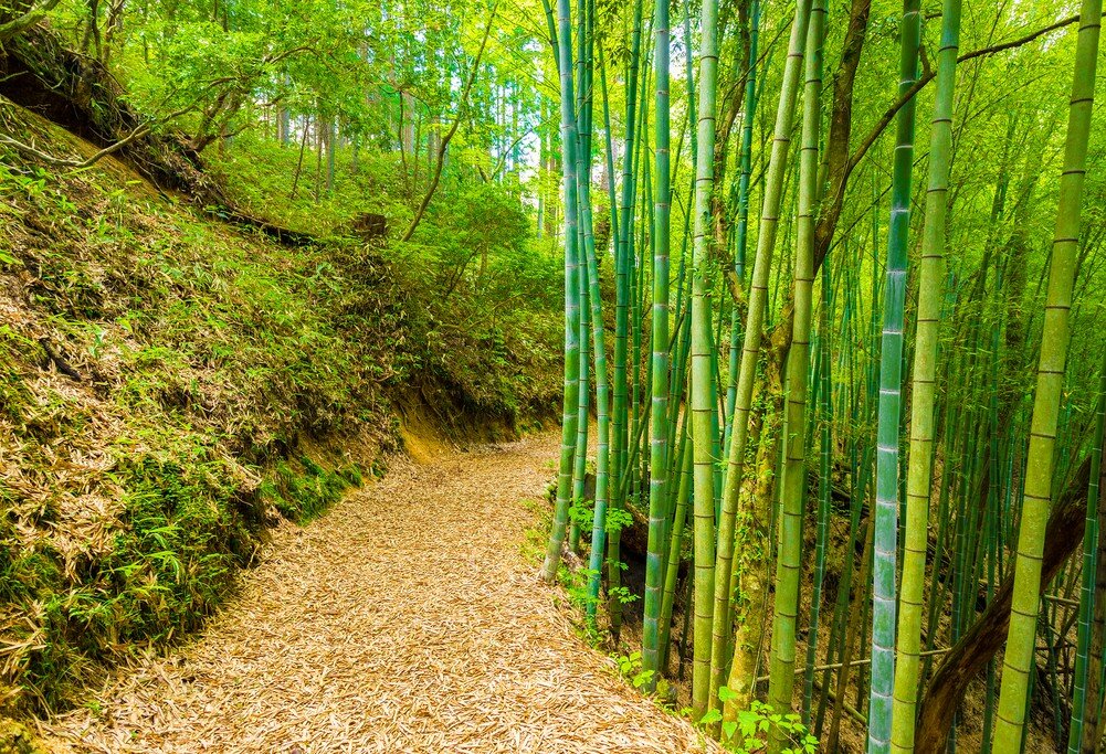 Hiking from Tsumago to Nojiri