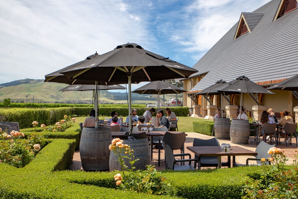 Visit wineries in two key areas of the North Island on this weeklong adventure