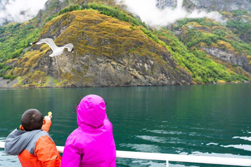 Fjordcruise to Mostraumen