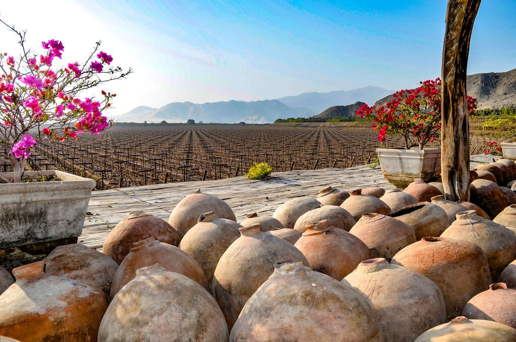 Learn about Peru's pisco production while staying in Ica