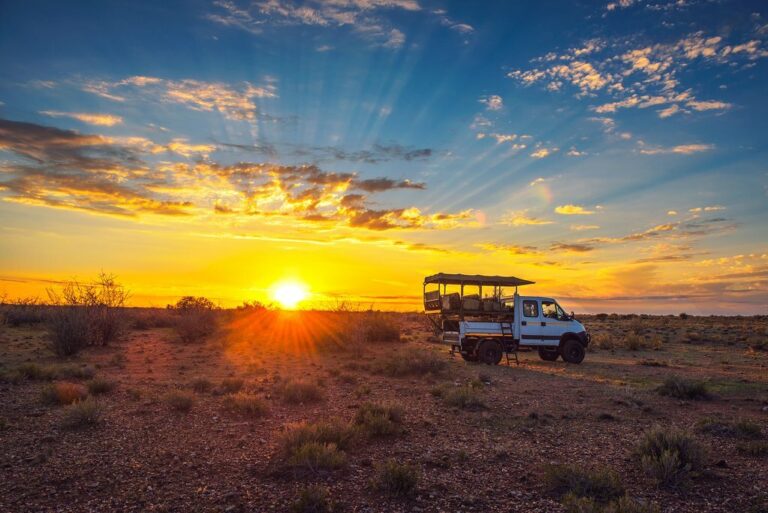 Namibia Desert & Wildlife Fly-In Safari: Sossuvlei, Skeleton Coast & Etosha – 7 Days
