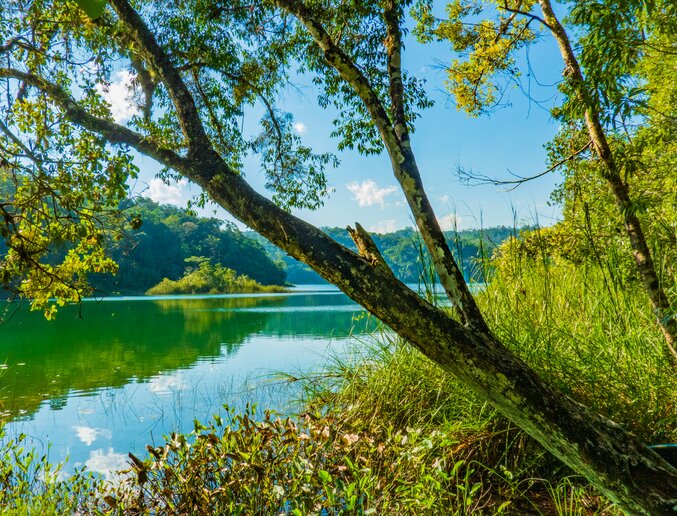 Spot fish and other aquatic species as you cross Lake Nahá