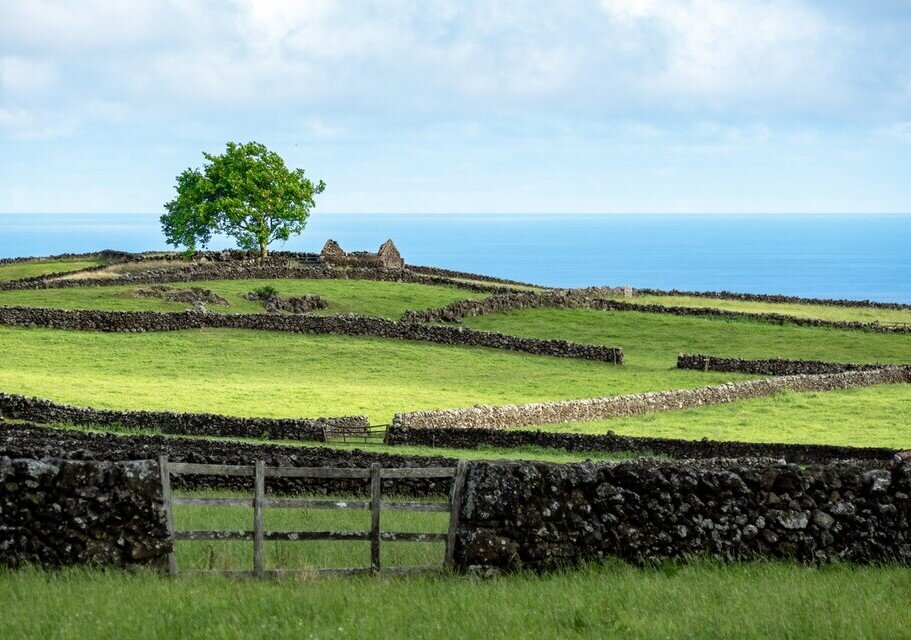 Split your time between the islands of São Miguel and Terceira