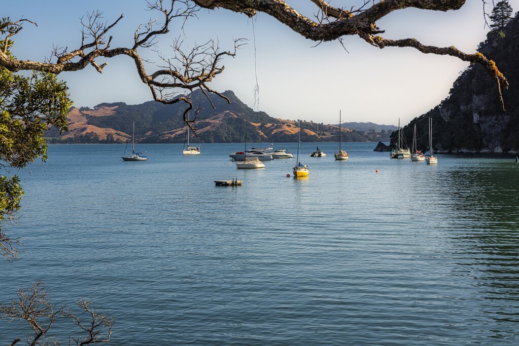 Mercury Bay in Whitianga on the Coromandel Peninsula