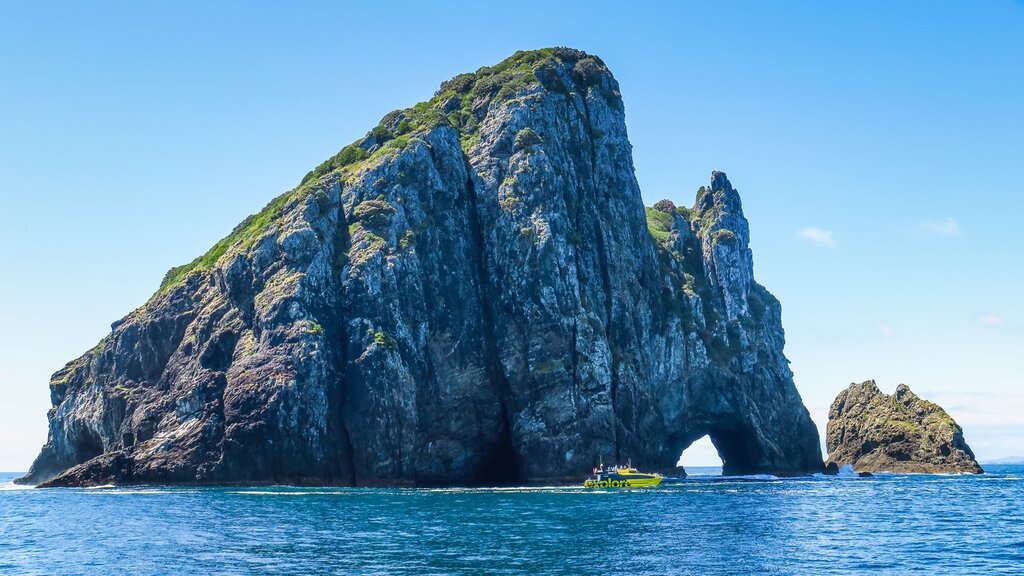 Full Day Bay of Islands