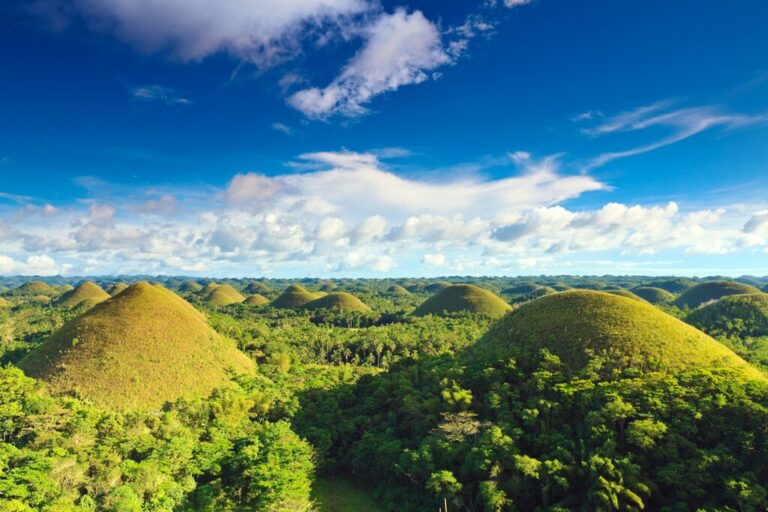 Countryside Adventures in the Philippines: Cebu City, Moalboal & Bohol Island - 7 Days