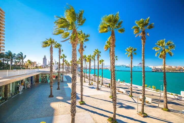 Spend the day touring Malaga with a local guide