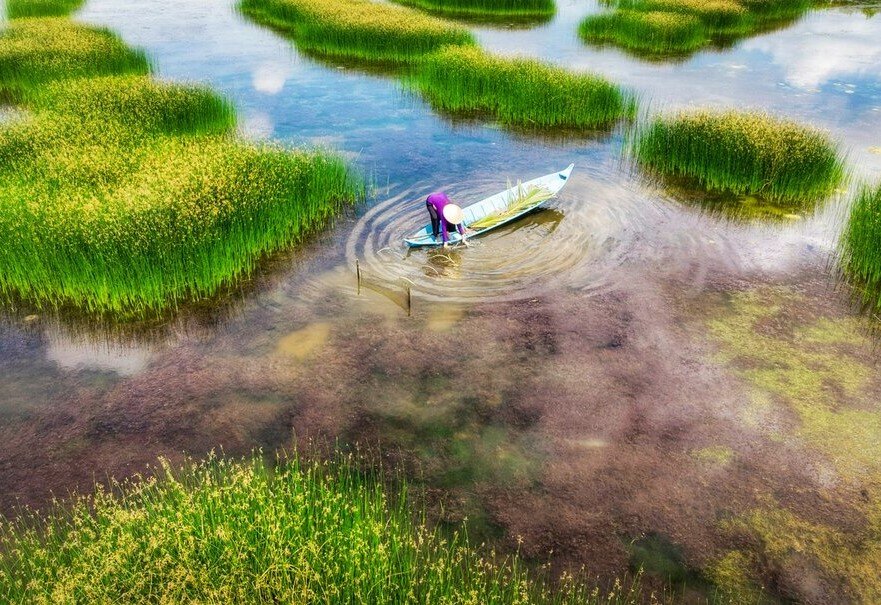 Travel along the canals in the Mekong Delta