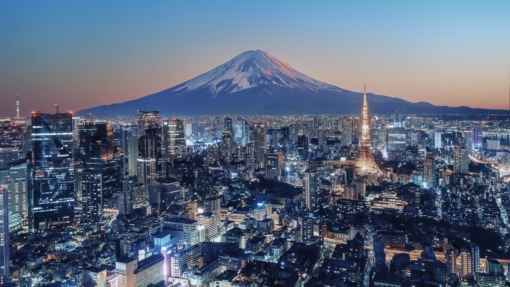 View of Tokyo