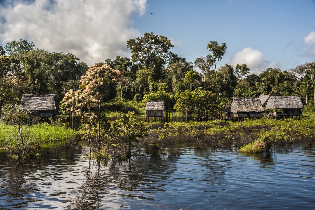 view from the river toward the bank, with vegetation and small huts on stilts